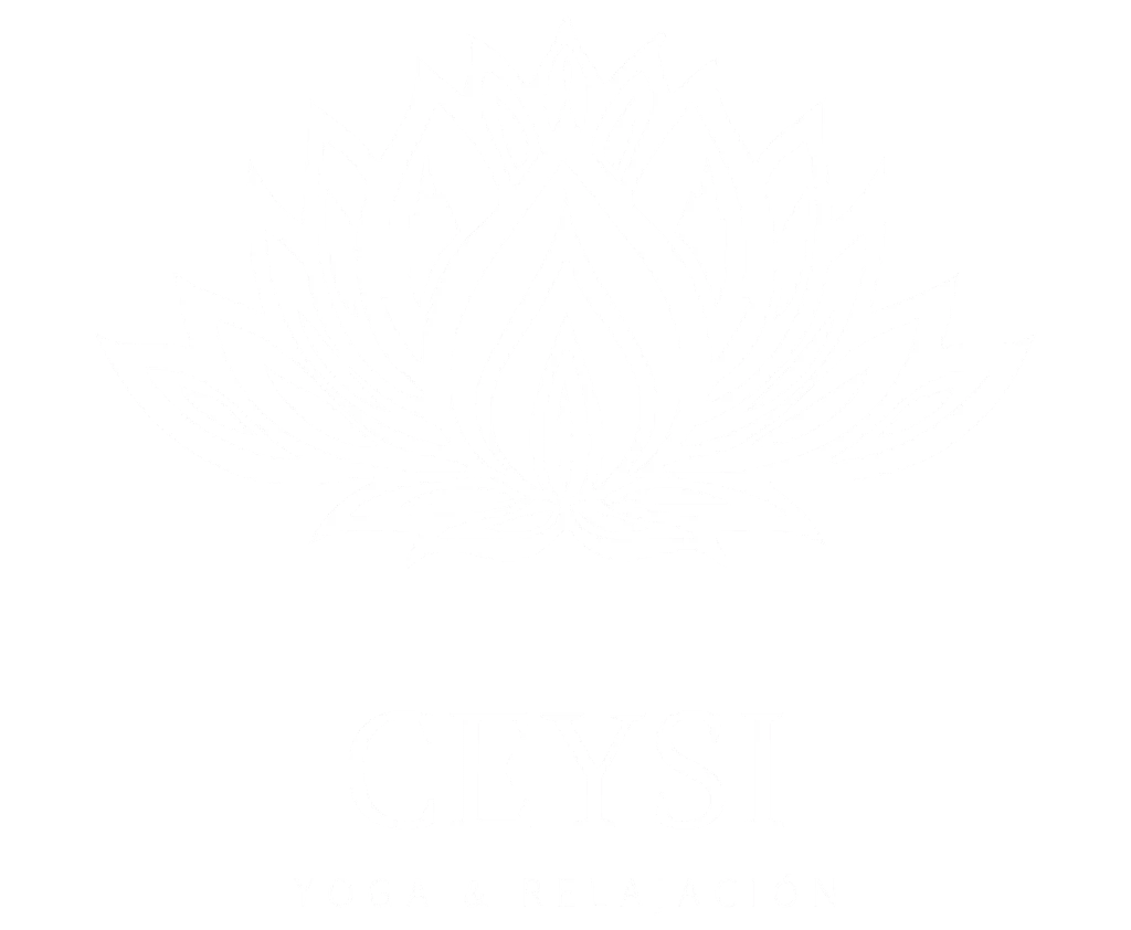 Centro Formación CEYSI – Santiago Pazhín